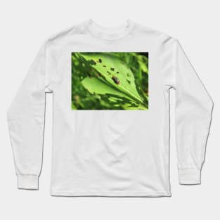 Pigweed Flea Beetle Long Sleeve T-Shirt